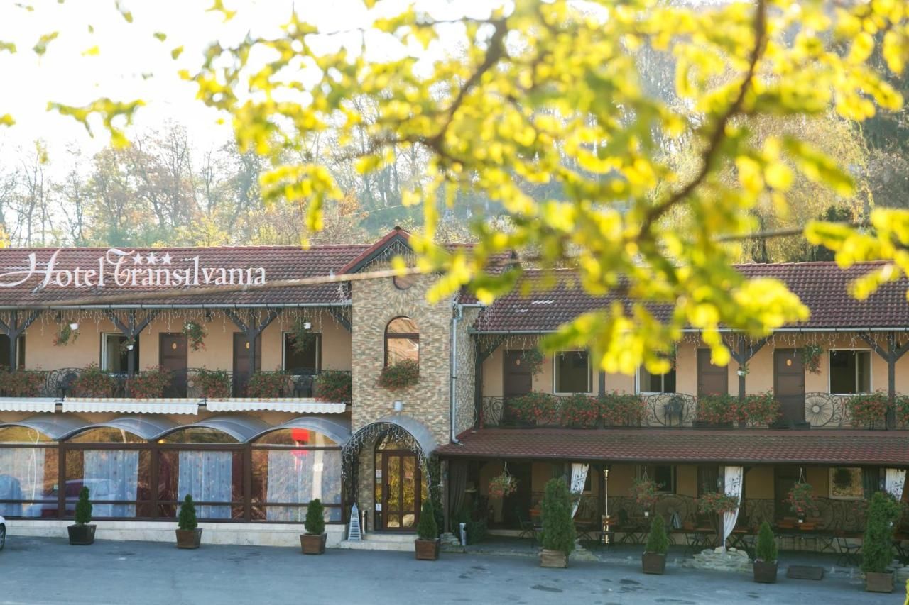 Отель Hotel Transilvania Сигишоара-40